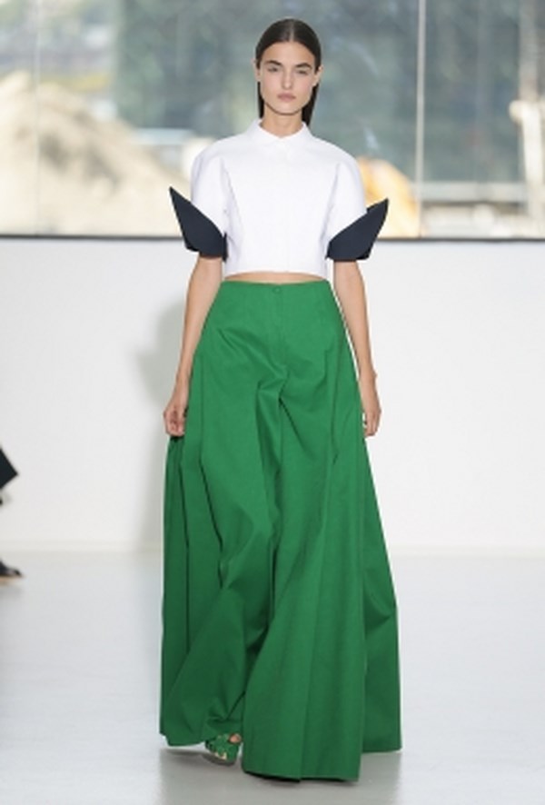 Delpozo_pv_2015 (10)