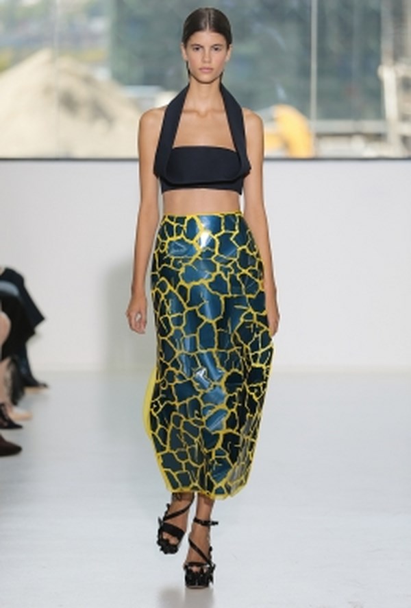 Delpozo_pv_2015 (13)