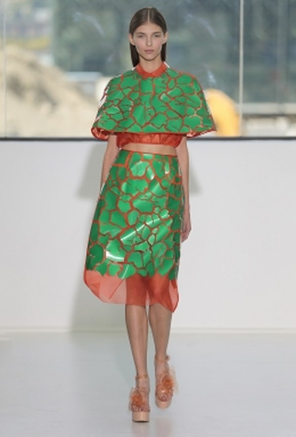 Delpozo_pv_2015 (14)