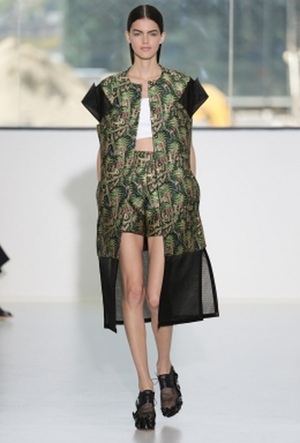 Delpozo_pv_2015 (17)