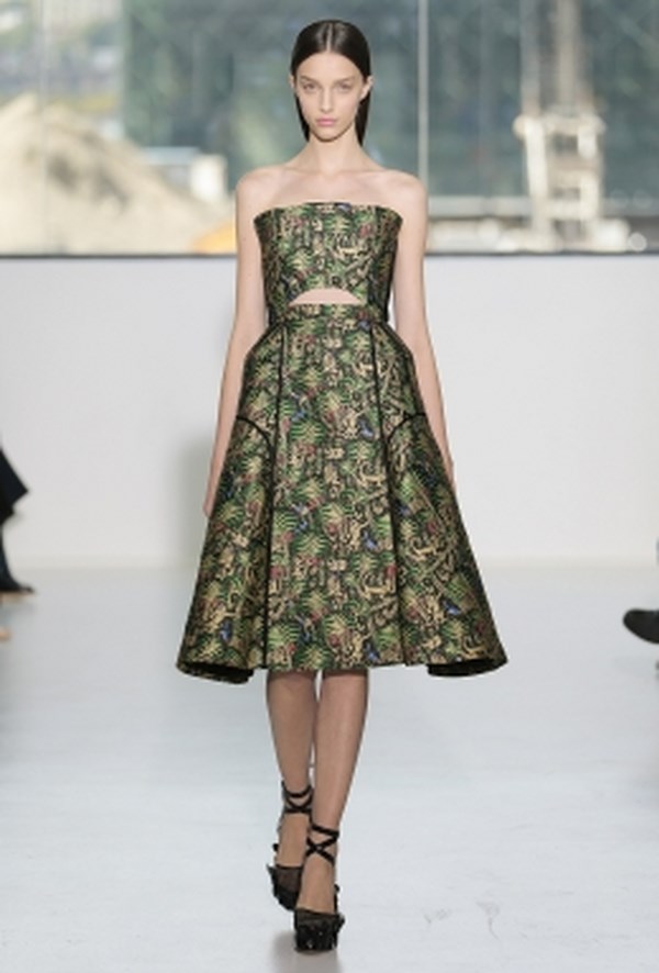 Delpozo_pv_2015 (19)