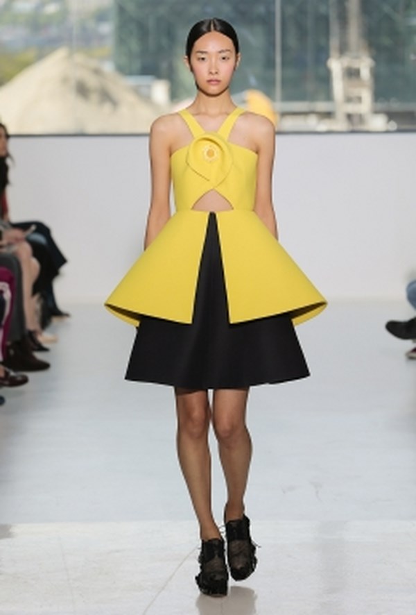 Delpozo_pv_2015 (21)