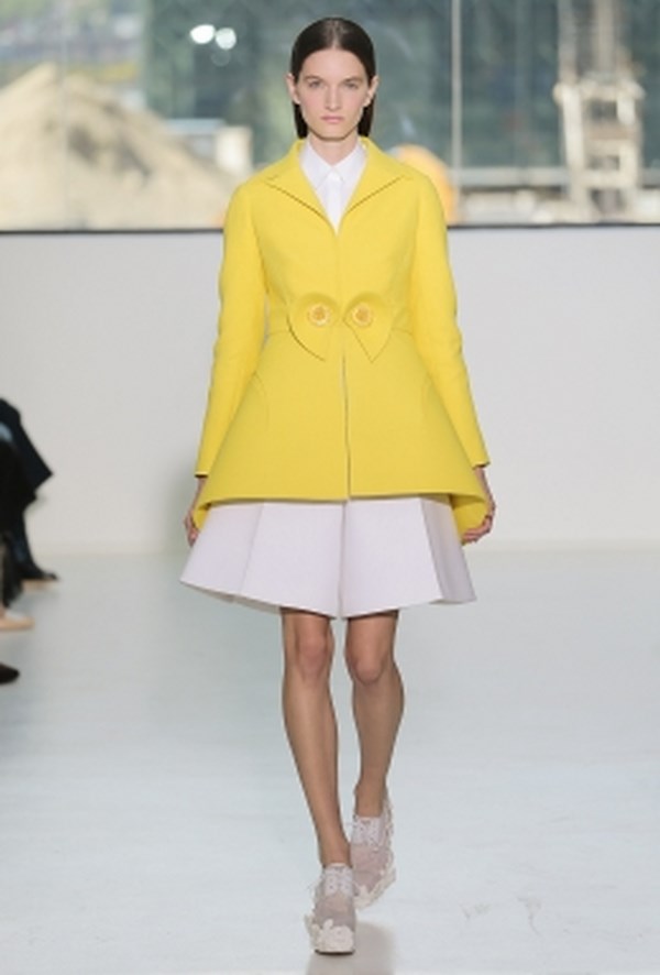 Delpozo_pv_2015 (22)