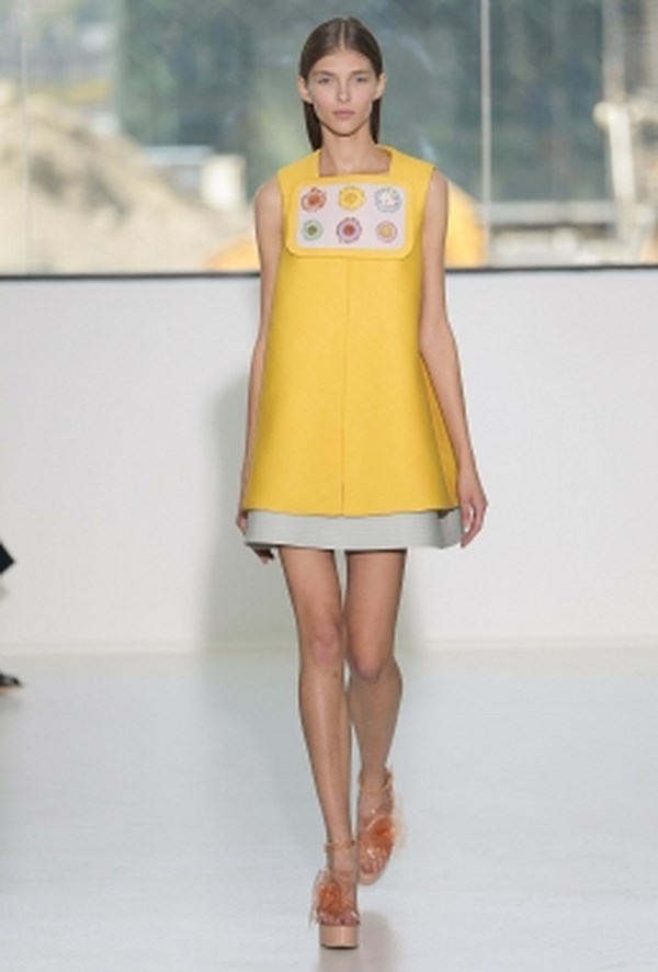 Delpozo_pv_2015 (33)