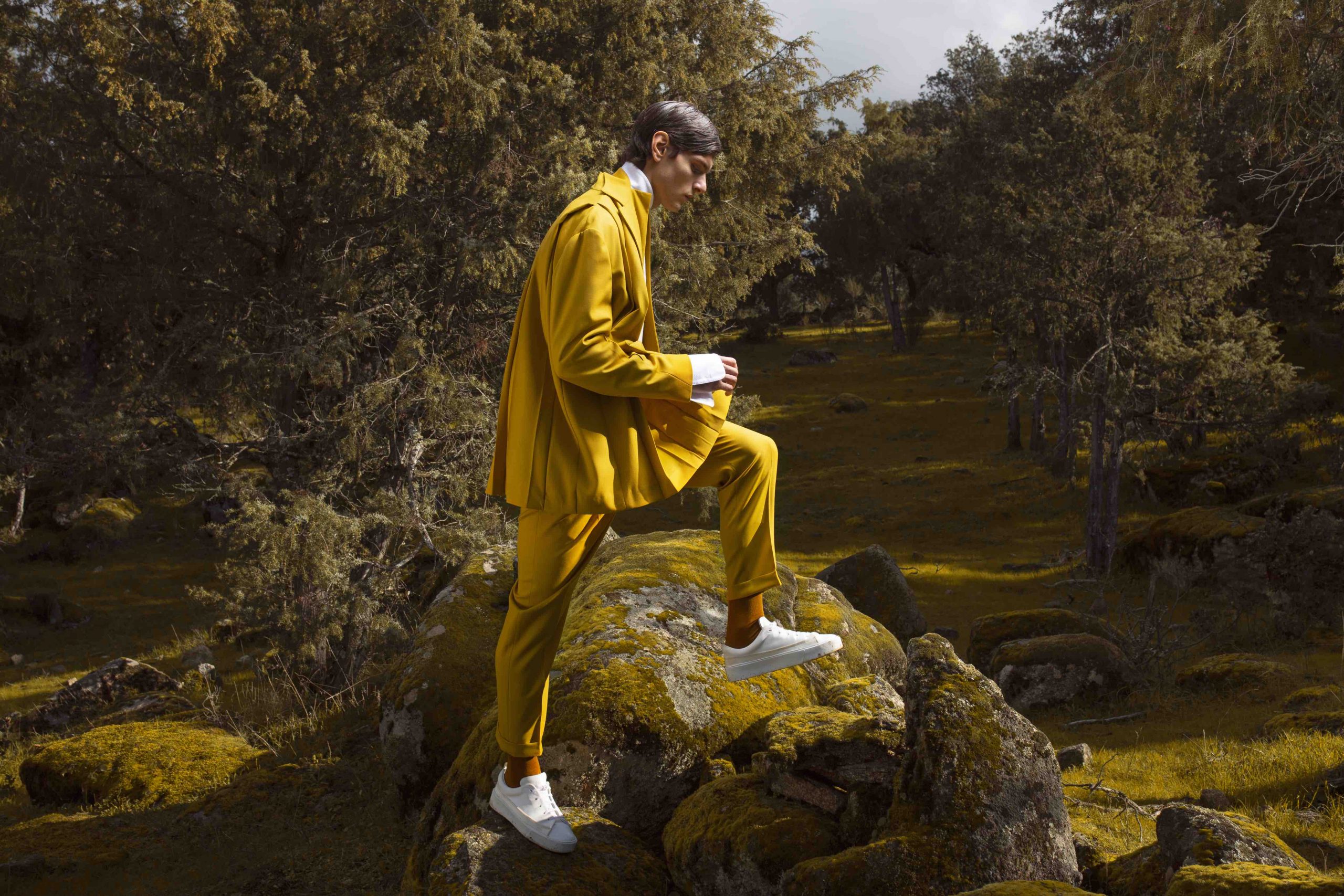 Cartela Video ARCADIA