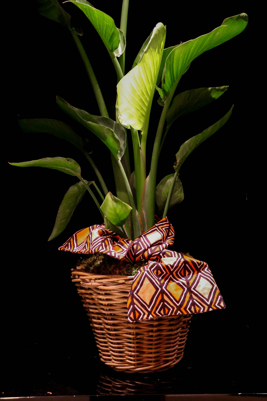 fotos_leticiavalera_nuelpuig_15