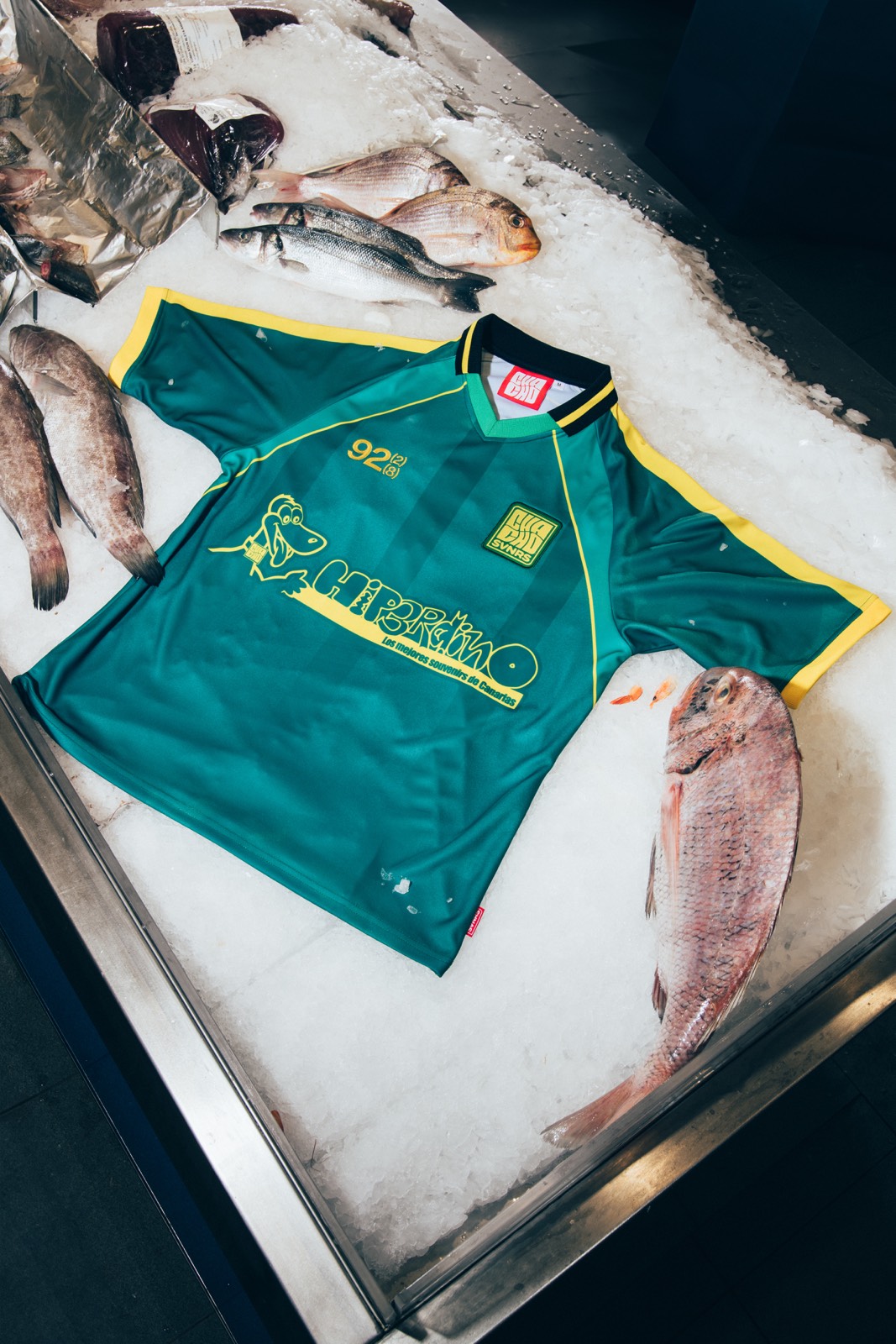 chacho-hiperdino-hiperd39937