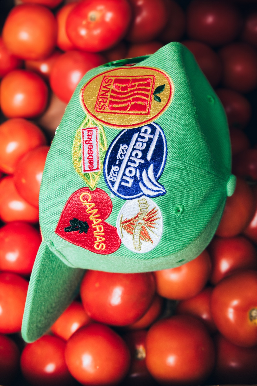 chacho-hiperdino-hiperd40209