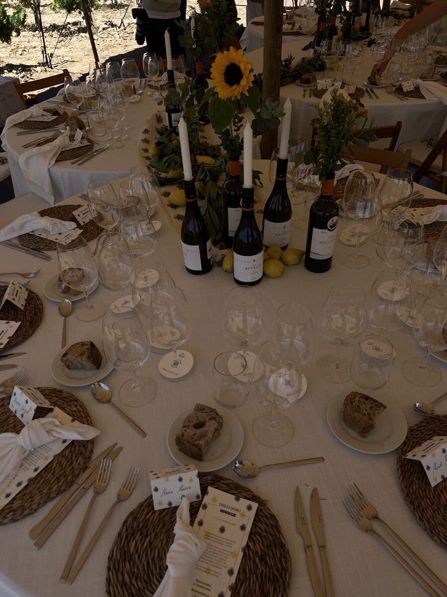Evento Pablo Erroz x BEM - IMG_6868
