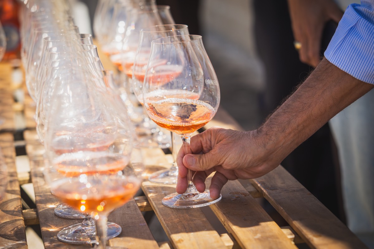 Evento Pablo Erroz x BEM_Viñedo Producto_HQ-25