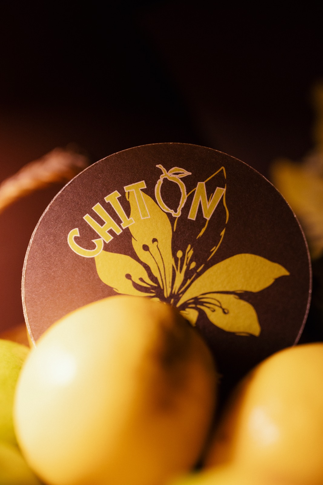 pablo-erroz-chiton-3T0A0196